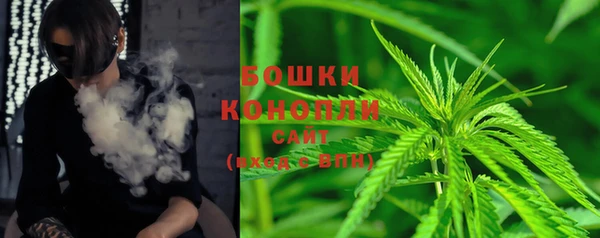 ПСИЛОЦИБИНОВЫЕ ГРИБЫ Богданович