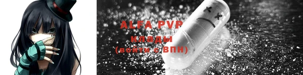 ПСИЛОЦИБИНОВЫЕ ГРИБЫ Богданович
