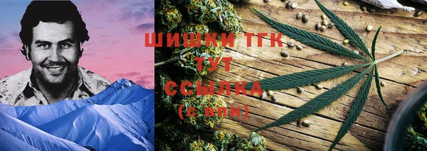 амф Богородицк