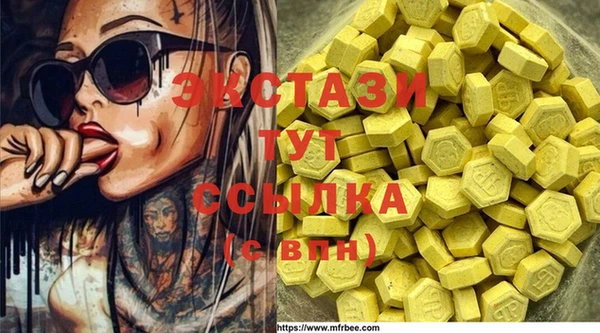 ПСИЛОЦИБИНОВЫЕ ГРИБЫ Богданович