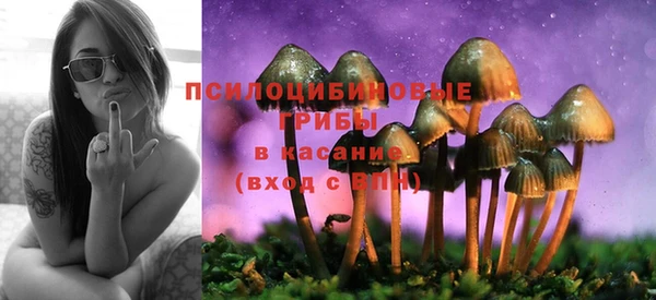 мескалин Богородск