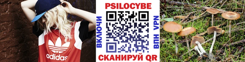 Галлюциногенные грибы MAGIC MUSHROOMS  Надым 