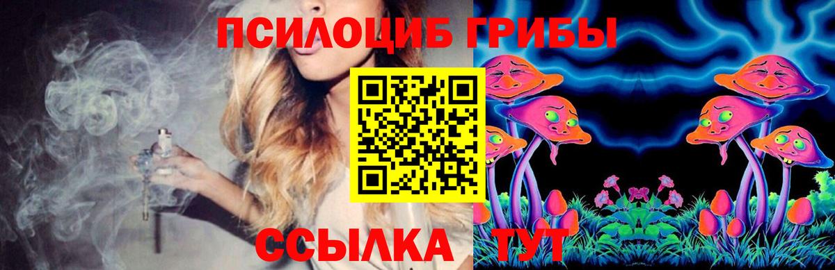 Галлюциногенные грибы MAGIC MUSHROOMS  купить   Надым  Вход с VPN 
